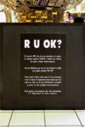 « RUOK » à l&rsquo;exposition du Leclerc de Grasse (janvier 2010)